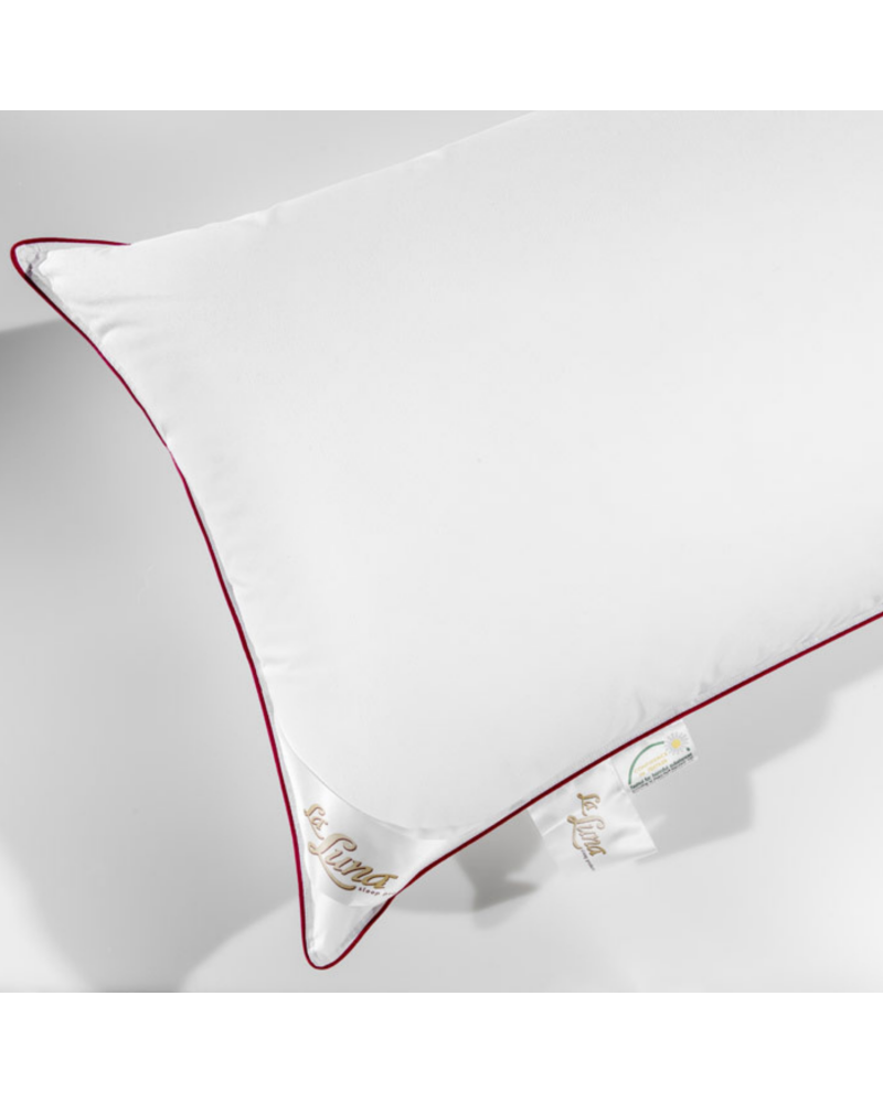 The Microdown Alternative Pillow
